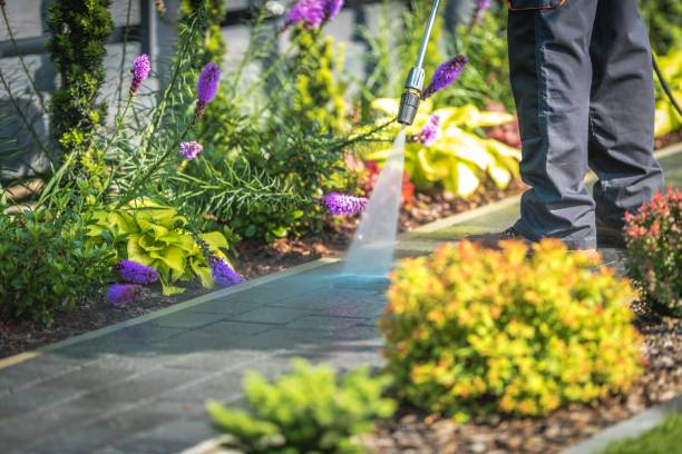 Best Spring Cleaning  in Cathcart, WA