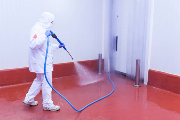 Spring Cleaning in Cathcart, WA
